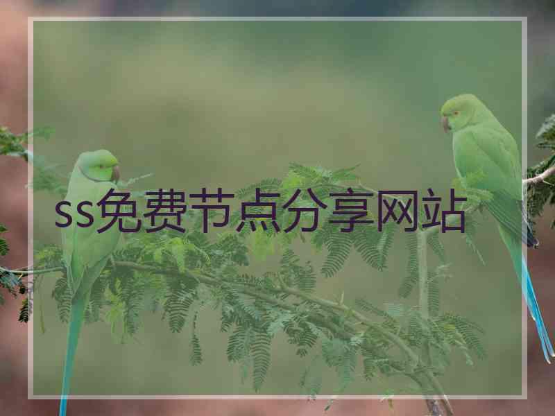 ss免费节点分享网站