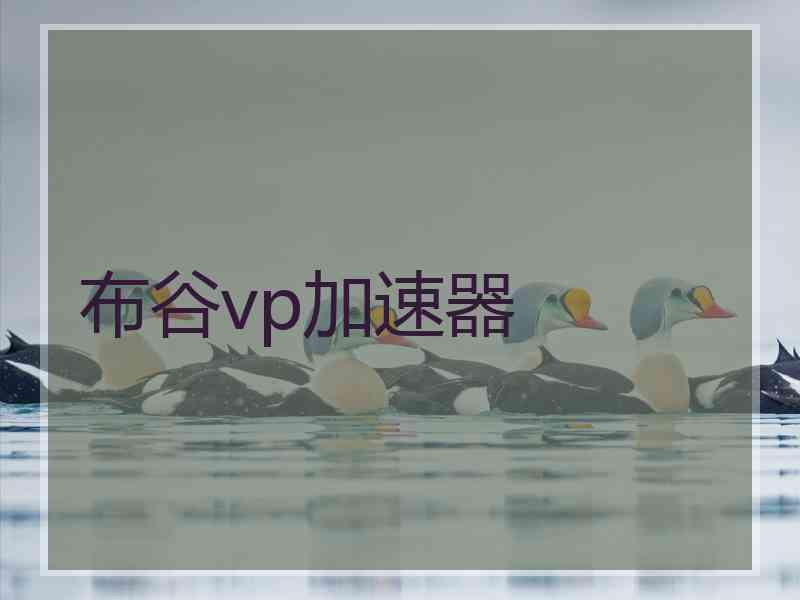 布谷vp加速器