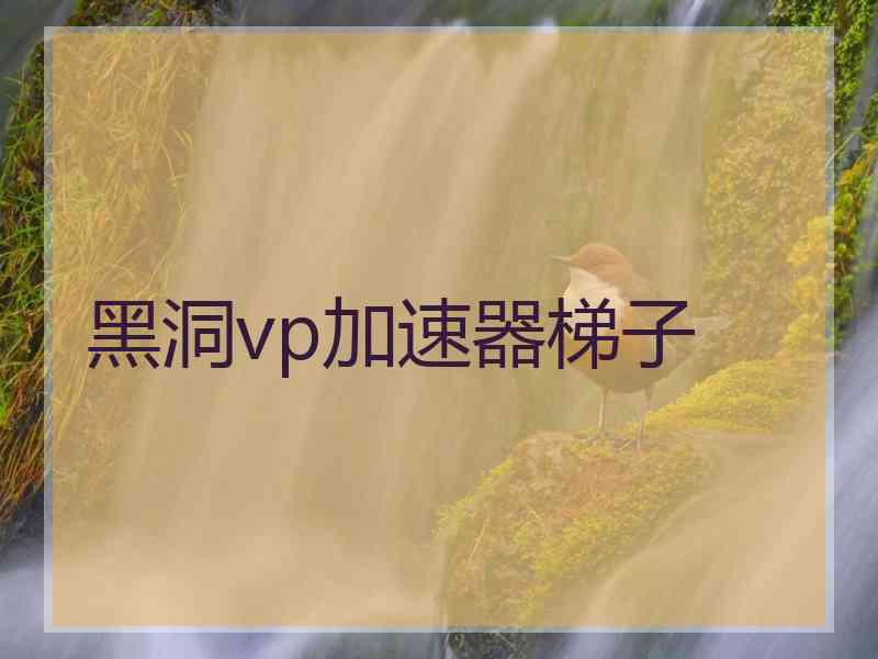 黑洞vp加速器梯子