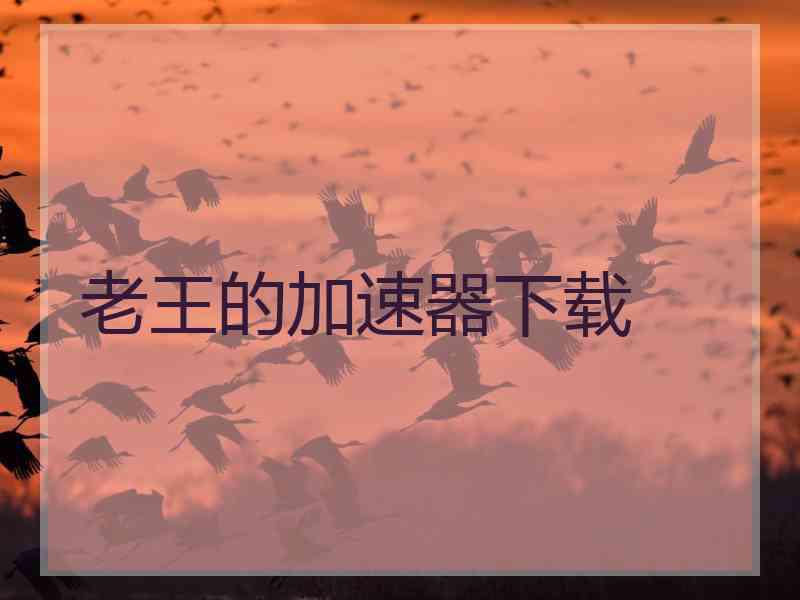 老王的加速器下载