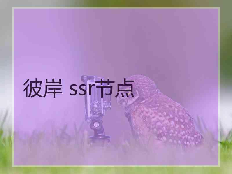 彼岸 ssr节点