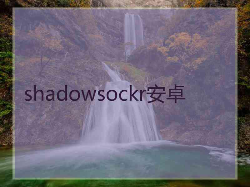 shadowsockr安卓