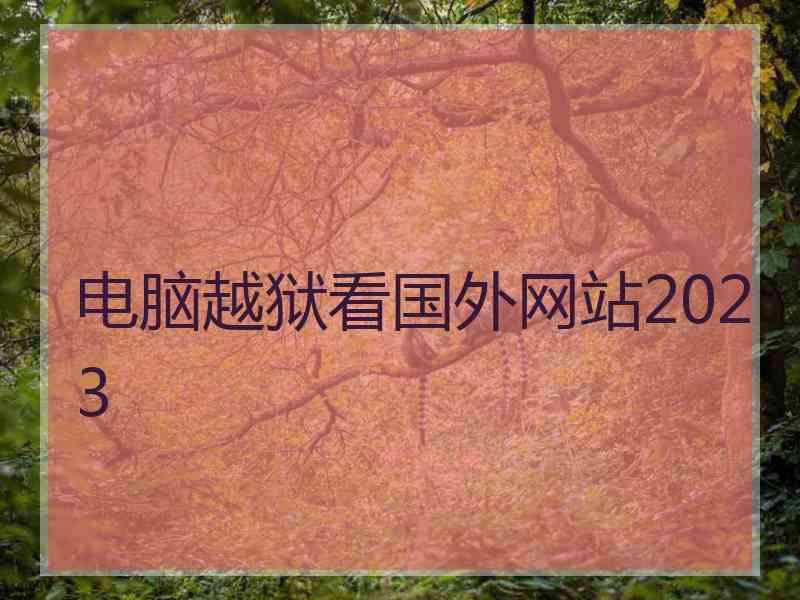 电脑越狱看国外网站2023