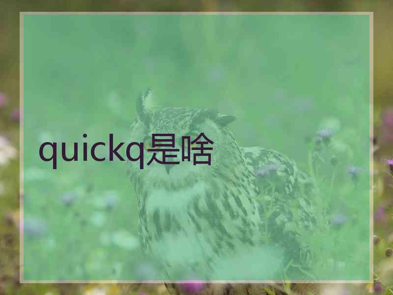 quickq是啥