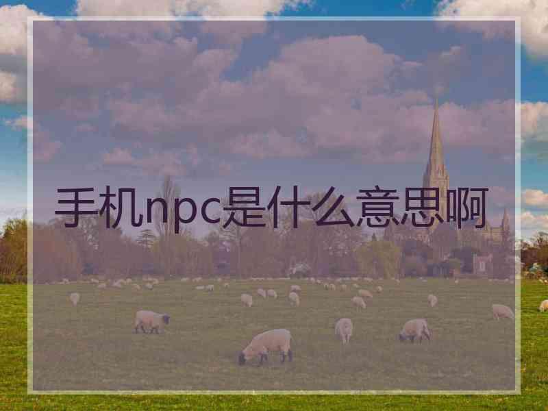 手机npc是什么意思啊