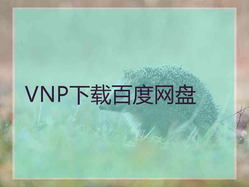 VNP下载百度网盘