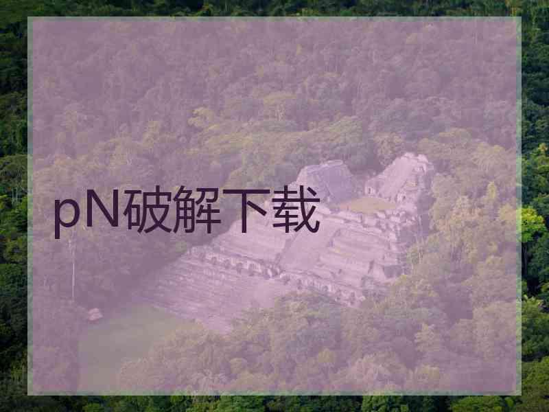 pN破解下载