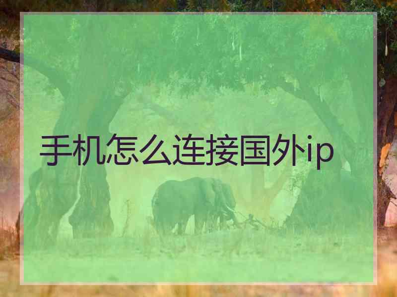 手机怎么连接国外ip