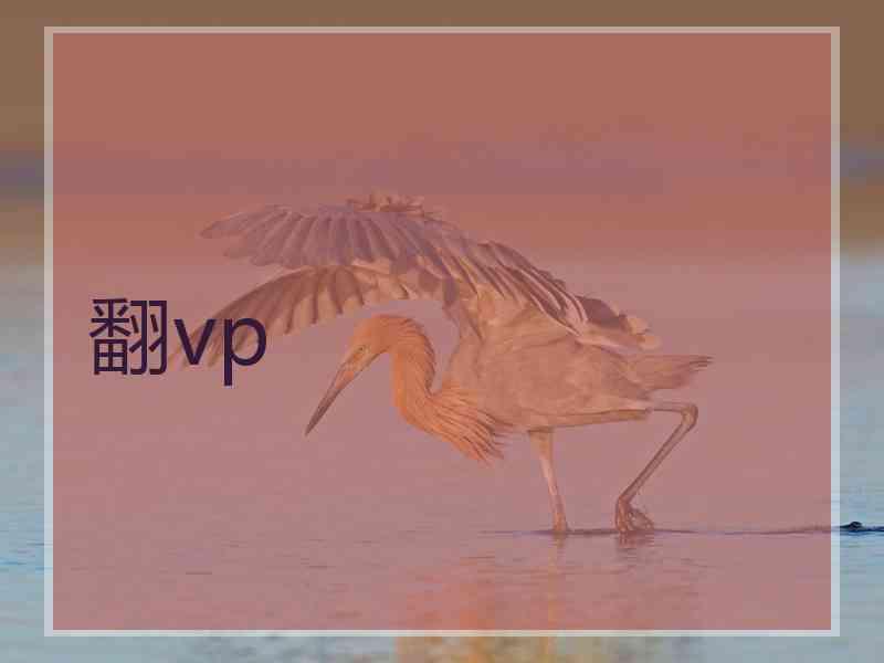 翻vp