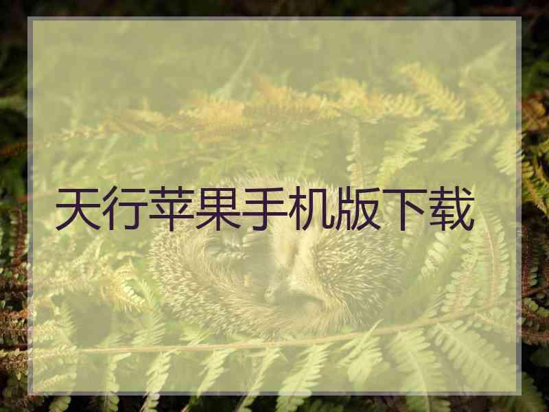 天行苹果手机版下载