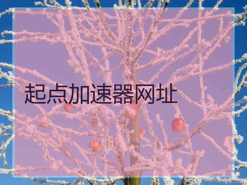 起点加速器网址