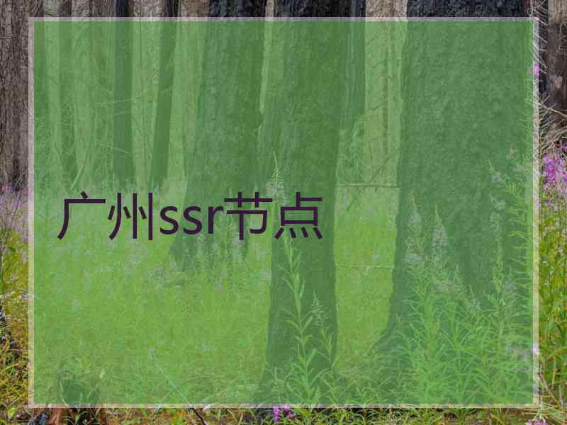 广州ssr节点