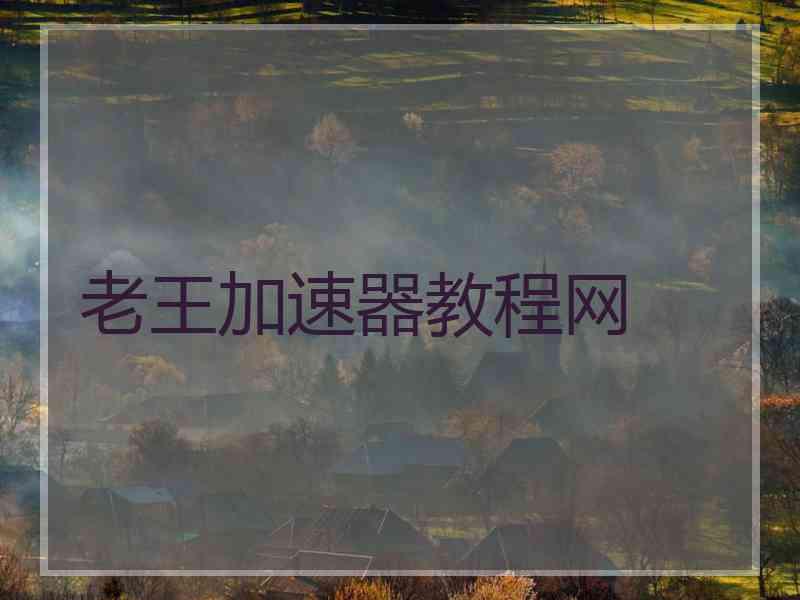 老王加速器教程网