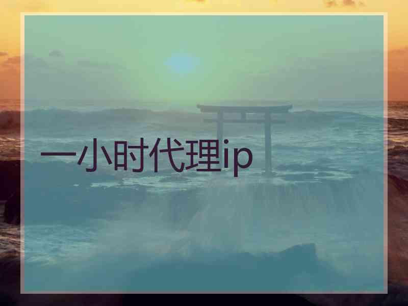 一小时代理ip