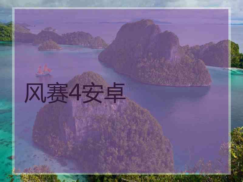 风赛4安卓