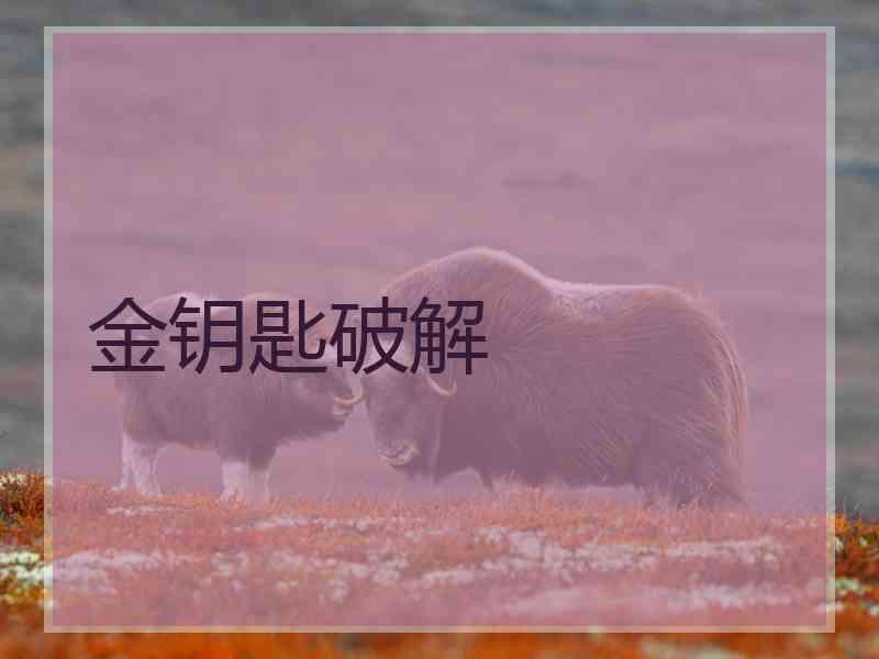 金钥匙破解