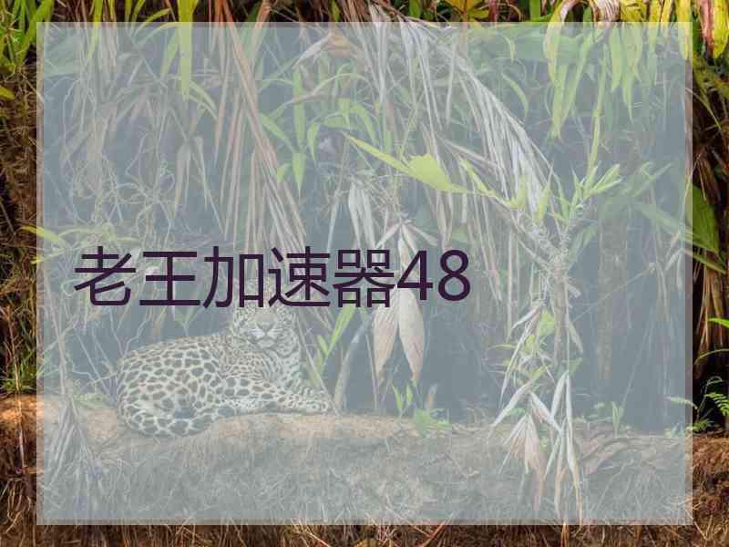 老王加速器48
