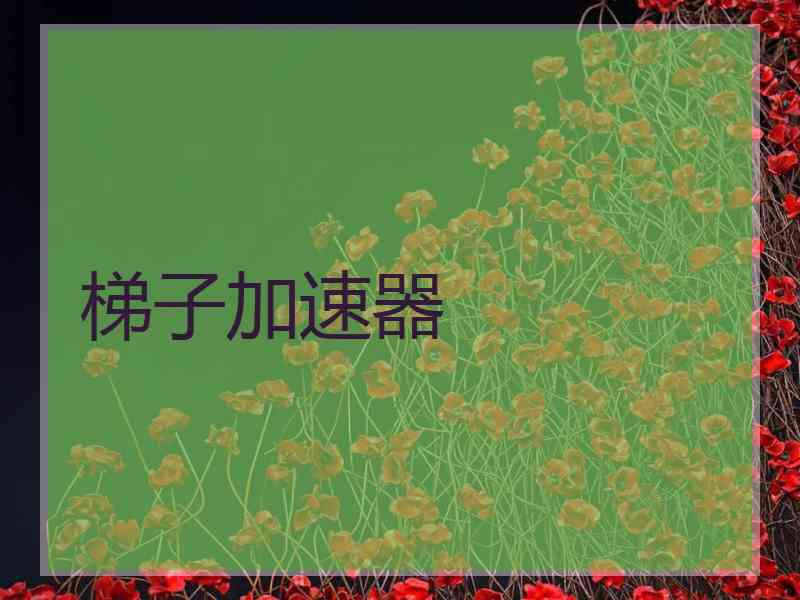 梯子加速器