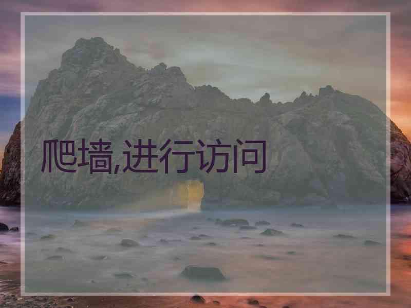 爬墙,进行访问