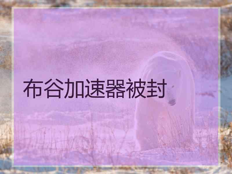 布谷加速器被封