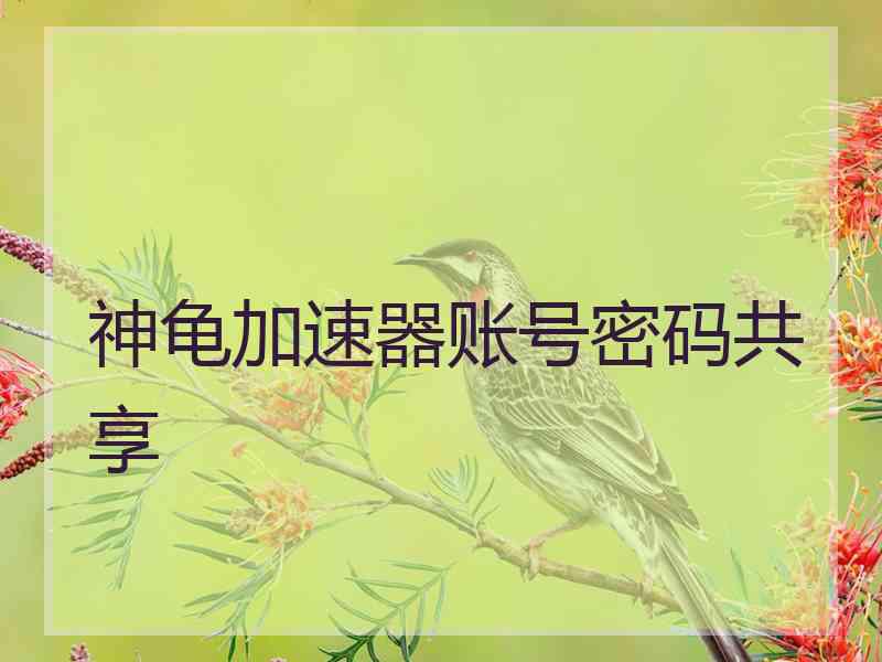 神龟加速器账号密码共享