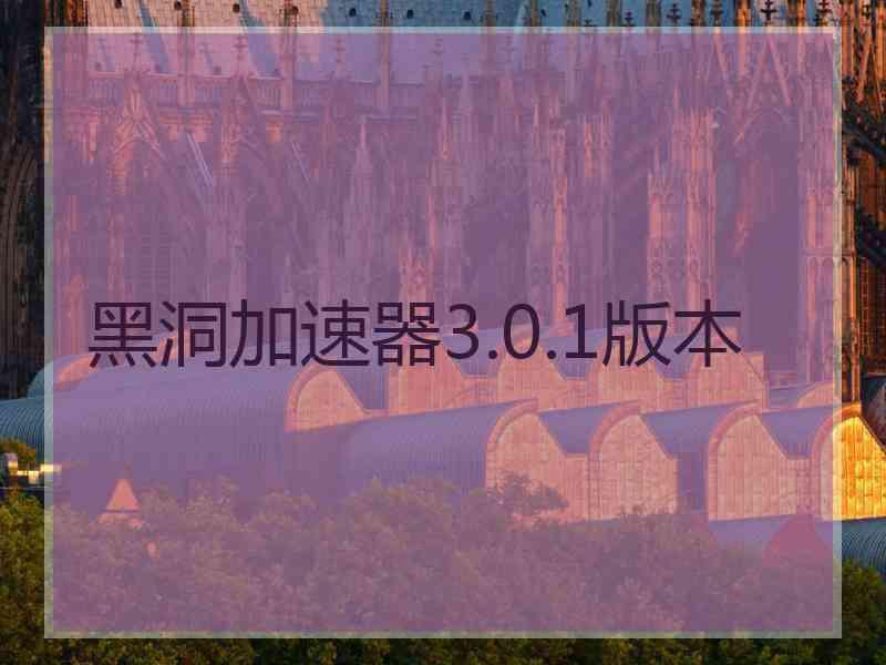 黑洞加速器3.0.1版本