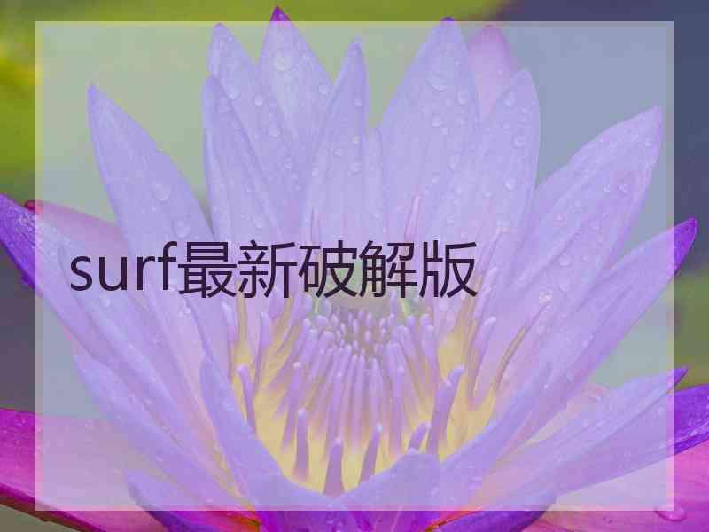 surf最新破解版