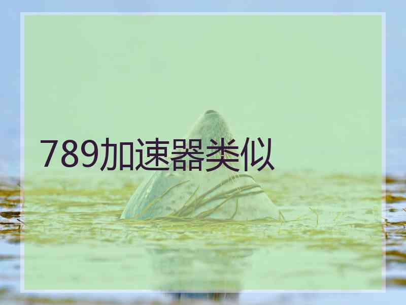 789加速器类似