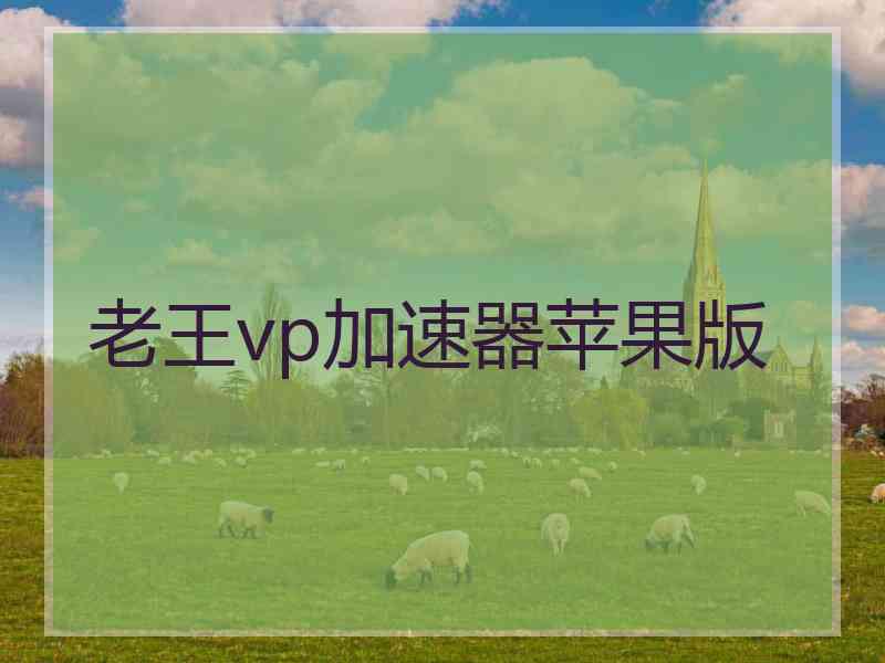 老王vp加速器苹果版