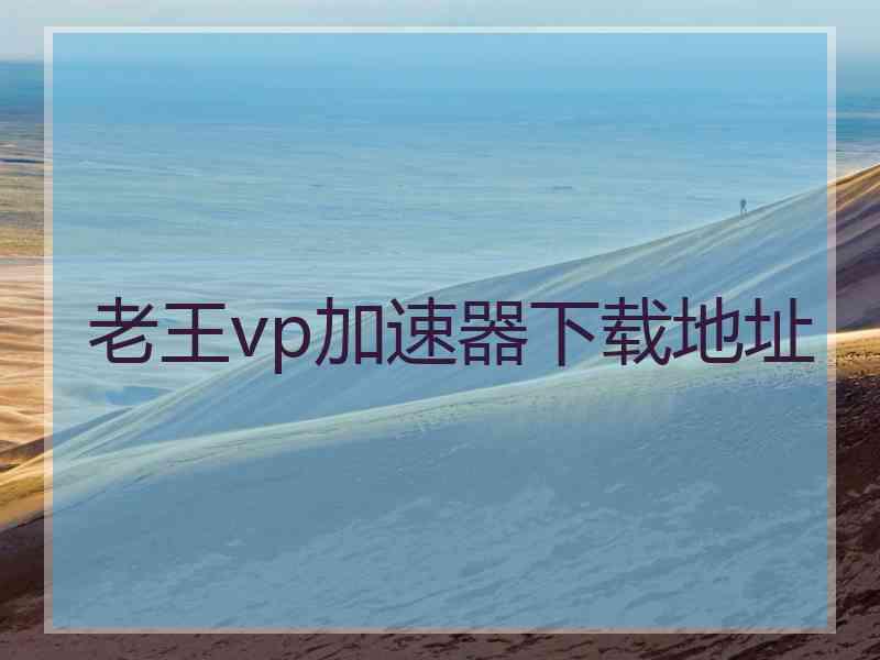 老王vp加速器下载地址