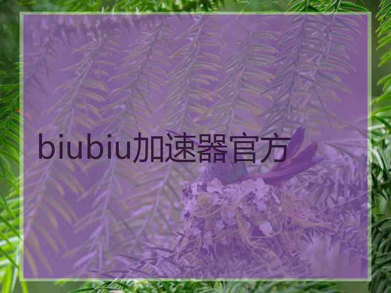 biubiu加速器官方