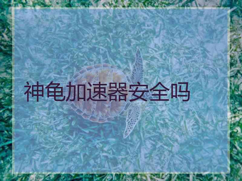 神龟加速器安全吗