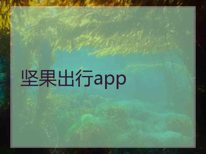 坚果出行app