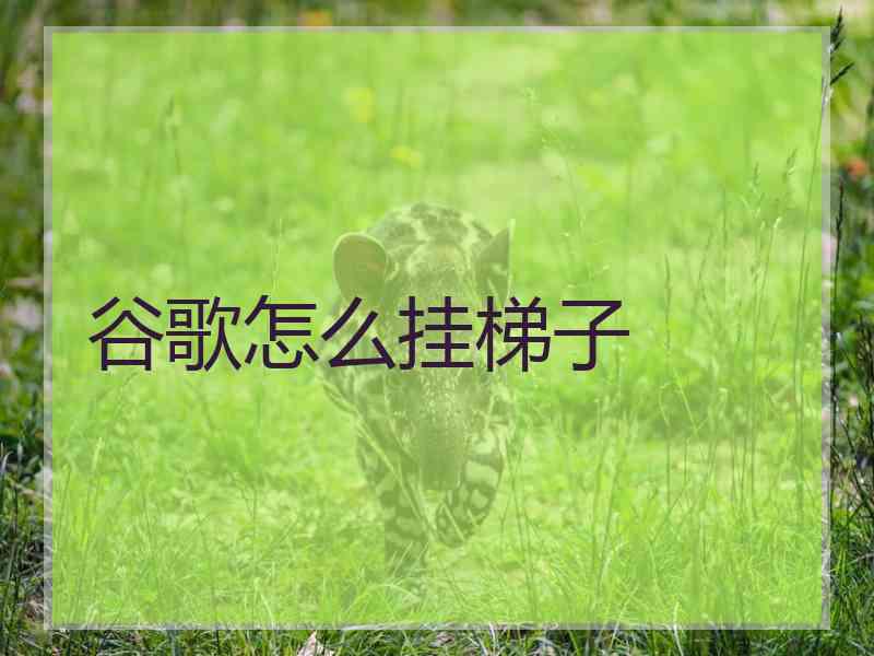 谷歌怎么挂梯子