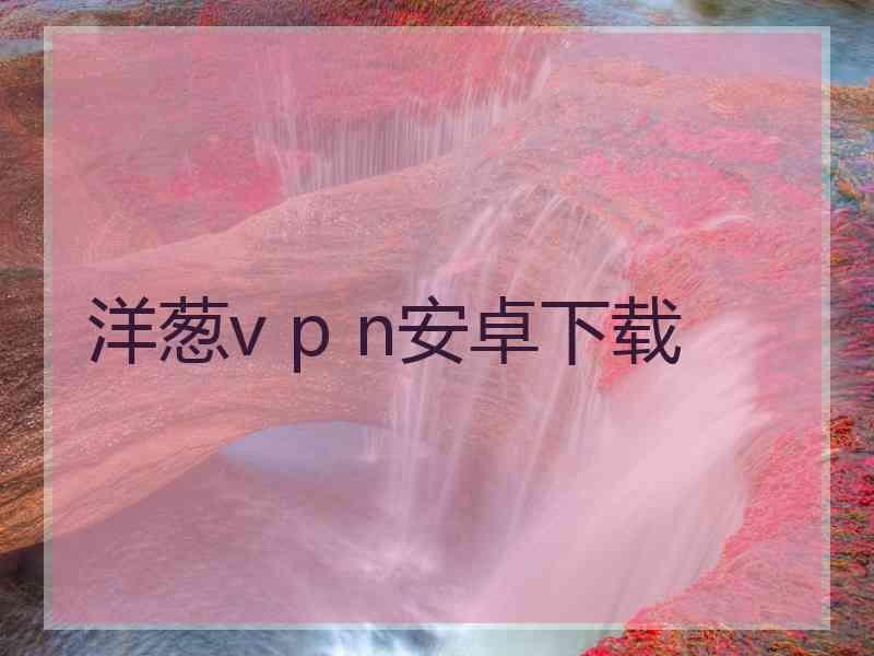 洋葱v p n安卓下载