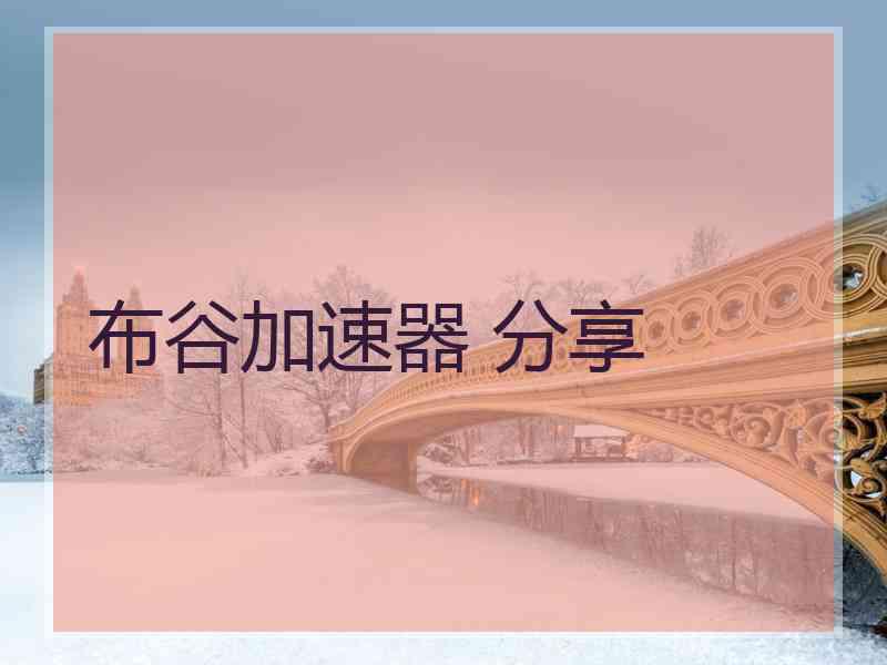 布谷加速器 分享