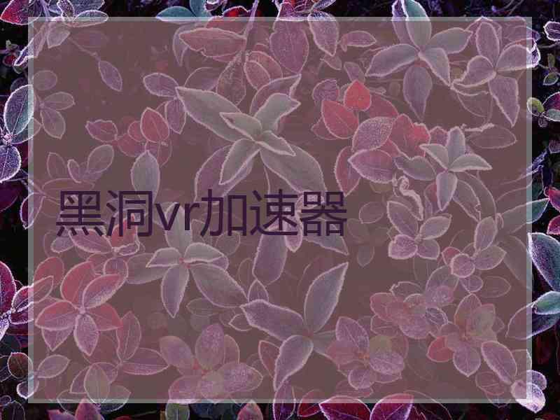 黑洞vr加速器