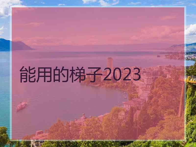 能用的梯子2023