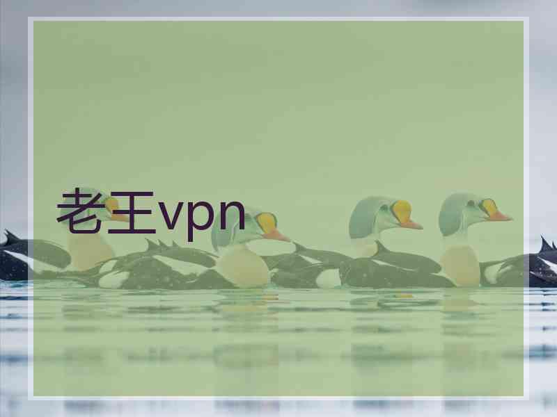 老王vpn
