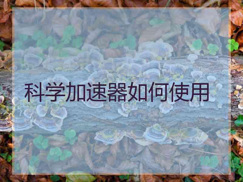 科学加速器如何使用