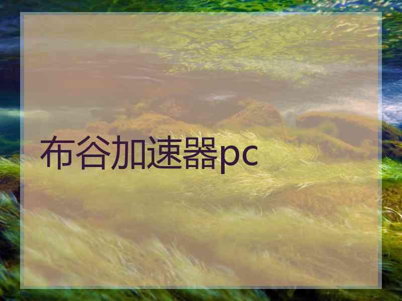 布谷加速器pc