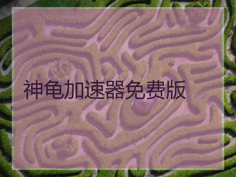 神龟加速器免费版