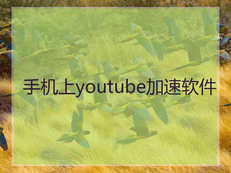 手机上youtube加速软件