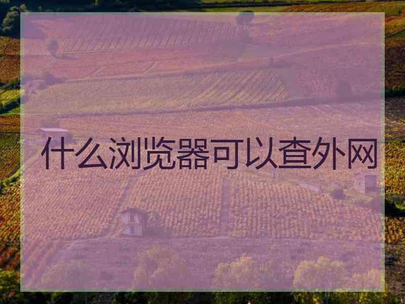 什么浏览器可以查外网