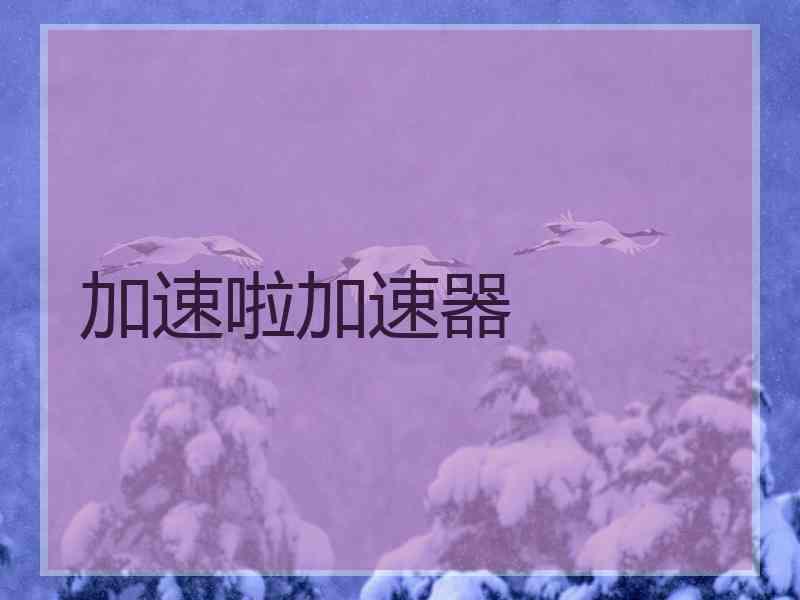 加速啦加速器