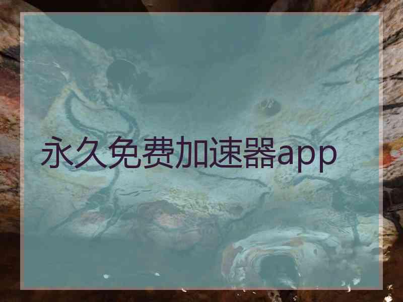 永久免费加速器app