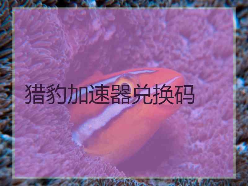 猎豹加速器兑换码