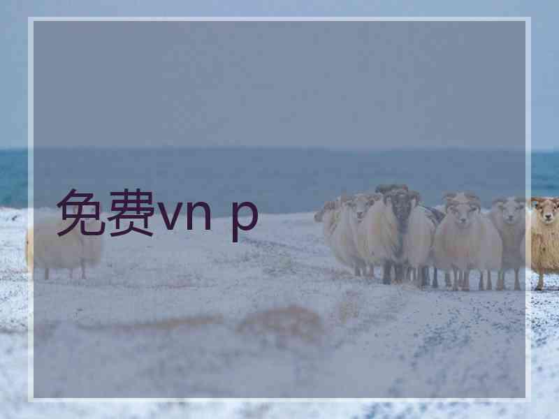 免费vn p