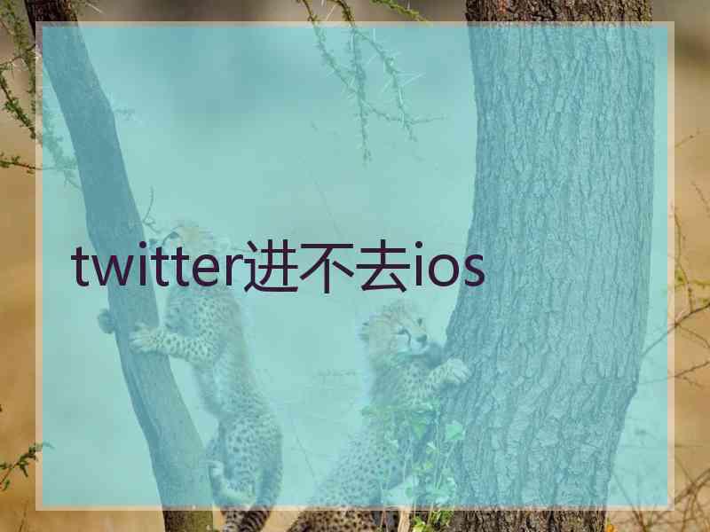 twitter进不去ios