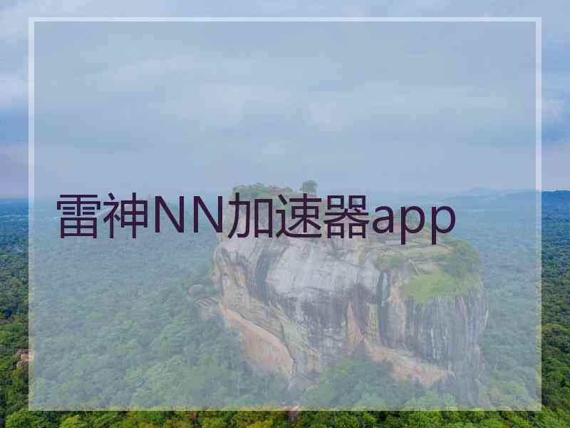 雷神NN加速器app